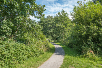 Plakat path in a Dutch nature park, on a sunny day