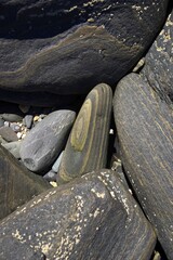 Gestreifter Stein an der bretonischen Atlantikküste