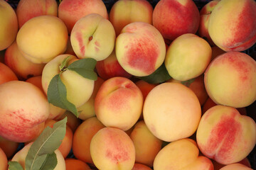 fresh peaches for food texture