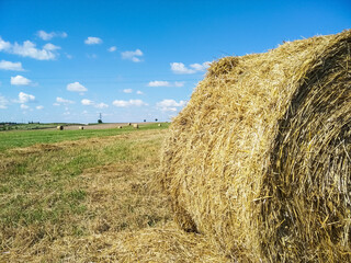 Hay in round bales lies on the field. Hay bale. Blank. Rural life. Grass, circle. Close-up harvested hay against a background of green mown fields and blue sky with copy space.