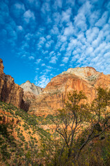 Obraz premium Zion's cliff. Colorful orange mountain