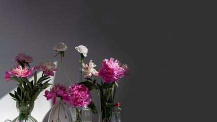 Flower peony in a vase in a home