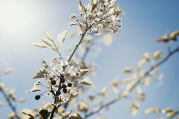 Spring has sprung
