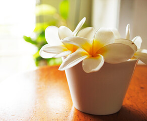Recipiente con amapolas blancas sobre un mueble de madera en spa con luz natural.