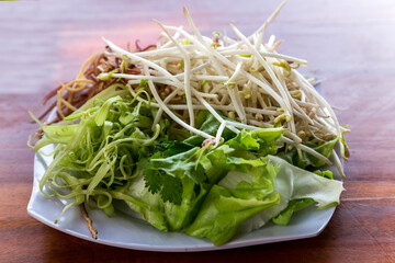 Green Mung bean sprouts are a culinary vegetable