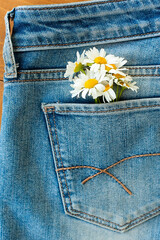Daisy flowers seamless pattern on jeans background.