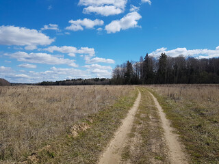 Fototapeta na wymiar Country road through field of dry grass with dark forest on horizon and blue sky with white clouds in spring time