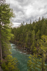 McDonald Creek and mountain background
