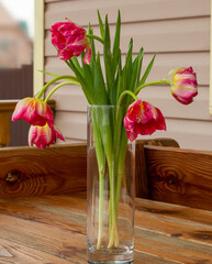 A bouquet of Tulip flowers in a glass vase, outdoors.