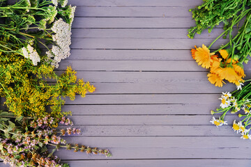 healing herbs and on a grey rustic table. melissa, mint and chamomile for herbal tea, milfoil, marigold and oregano. summer and autumn harvesting and drying herbs. alternative medicine. 