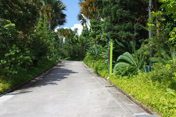 Gardens by the bay, Singapour 