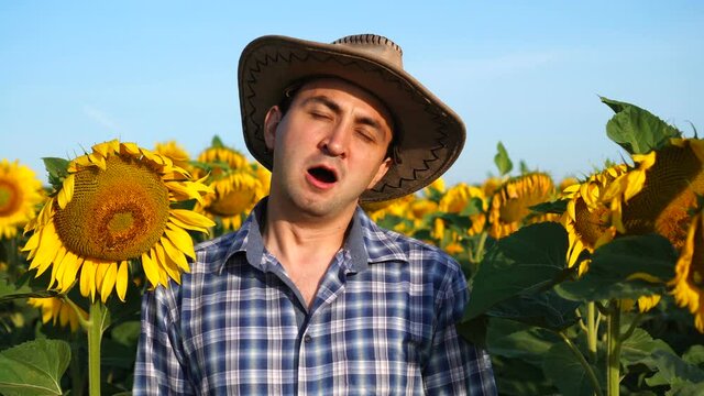 Tired farmer man is yawning in a sunflower field. Agriculture and nature concept