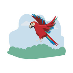 wild exotic macaw bird animal flying