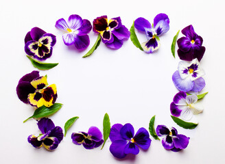Fototapeta na wymiar Rectangular frame made of fresh flowers of pansies. Copy space. Floral concept