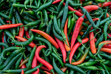Red and green chili pepper.