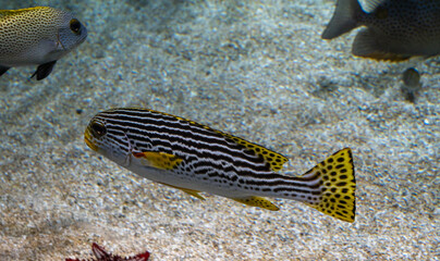 BioDomo del museo de la ciencia de Granada