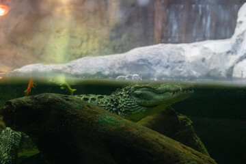 BioDomo del museo de la ciencia de Granada