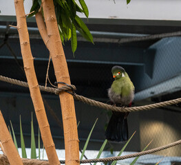 BioDomo del museo de la ciencia de Granada