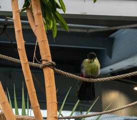 BioDomo del museo de la ciencia de Granada