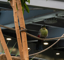 BioDomo del museo de la ciencia de Granada