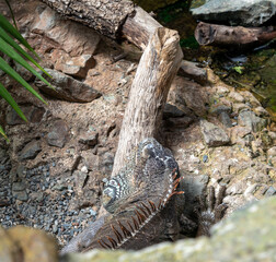 BioDomo del museo de la ciencia de Granada