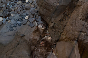 BioDomo del museo de la ciencia de Granada