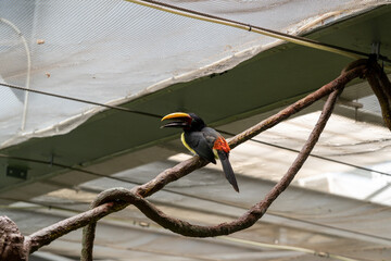 BioDomo del museo de la ciencia de Granada