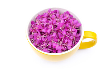 Fireweed flowers isolated on white background. Cup full of fresh pink flower petals, herbal tea.