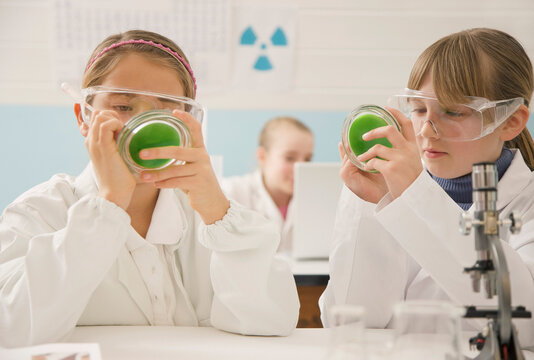 Junior high school girl students with petri dishes in science laboratory