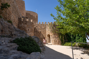 Castillo de Consuegra