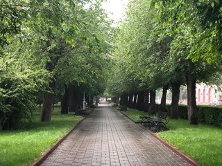 Obraz premium path in the park