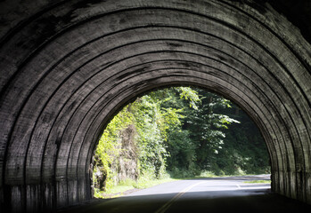 A road going through a tunnel towards trees.