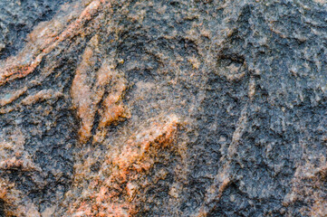 Sea stone texture. Panel texture. Background fill. Natural stone background.