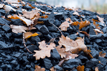 Black coal. Yellow leaves fallen from the trees on a pile of coal.