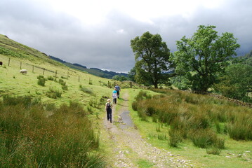 Obraz premium Hill Walking, Lake District, Cumbria, England