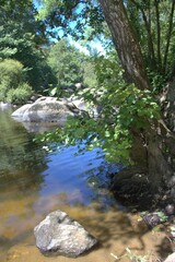 paysage de rivière , nature et gros rochers dans la nature  en été