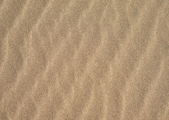 Fototapeta na wymiar Sandy surface with uniform waves from the wind.