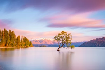 Foto op Plexiglas "That Wanaka Tree" at sunrise   Wanaka, New Zealand © Winston Tan