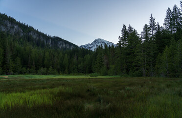 Mount Rainier At Sunrise As Seen From Longmire Meadows