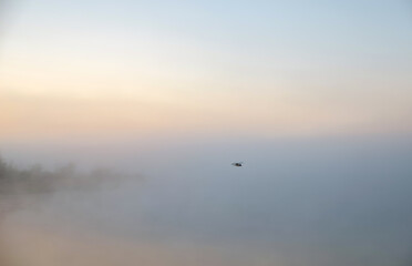 Morning's fog over the lake