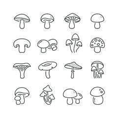 Mushrooms related icons: thin vector icon set, black and white kit - obrazy, fototapety, plakaty