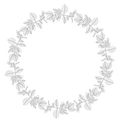 Black and white circle of home plants isolated on white background