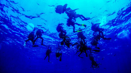 Scubadiving. Scuba divers diving at the shipwreck.
