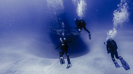 Scubadiving. Scuba divers diving at the shipwreck.