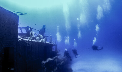 Scubadiving. Scuba divers diving at the shipwreck.