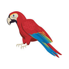 wild exotic macaw bird animal icon