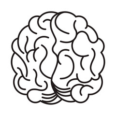 brain human organ isolated icon