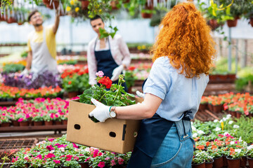 Group of florists working with flowers in a greenhouse preparing orders.