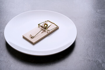 The mousetrap lies on a white plate
