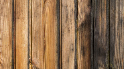 Fototapeta premium Burnt wooden clapboard texture for background.